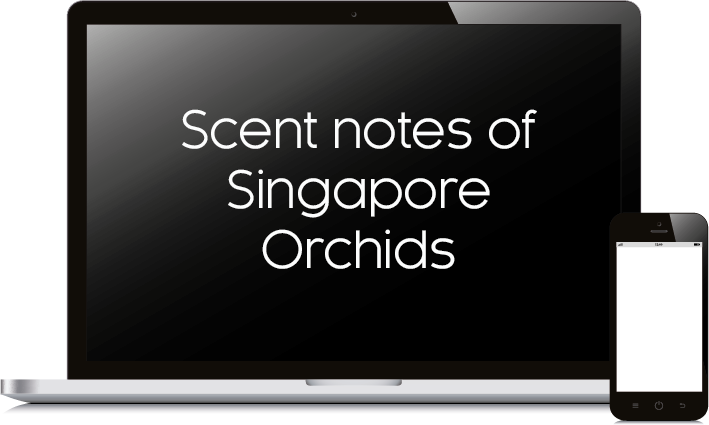 virtual online indoor perfume team bonding fun aromatherapy team building  creative activity singapore
